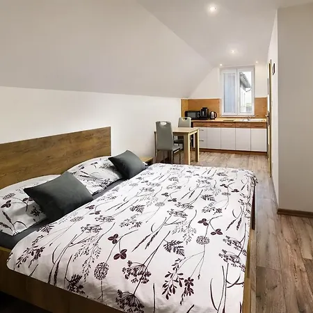 Apartment Andris *